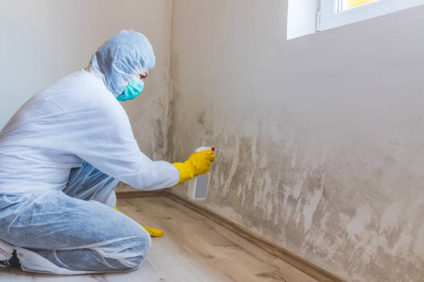Crawl Space Mold Remediation treatment of floor joists in Woodinville