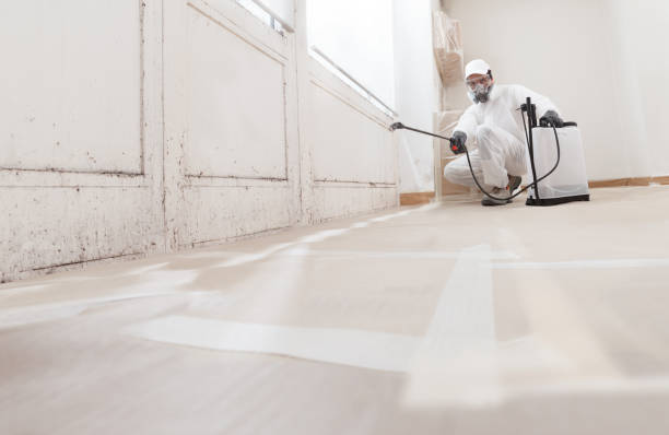 Black mold remediation team in Woodinville