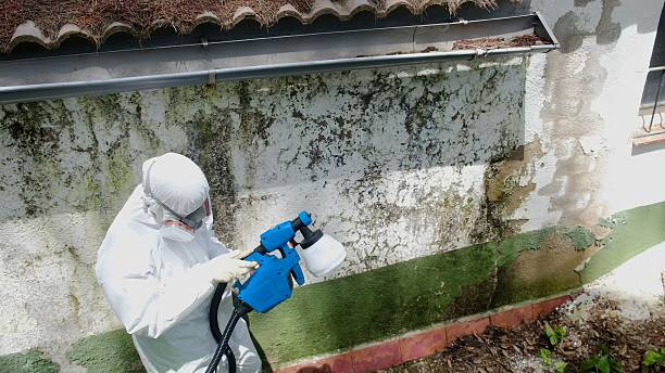 Mold Remediation service in Woodinville, Woodinville, WA